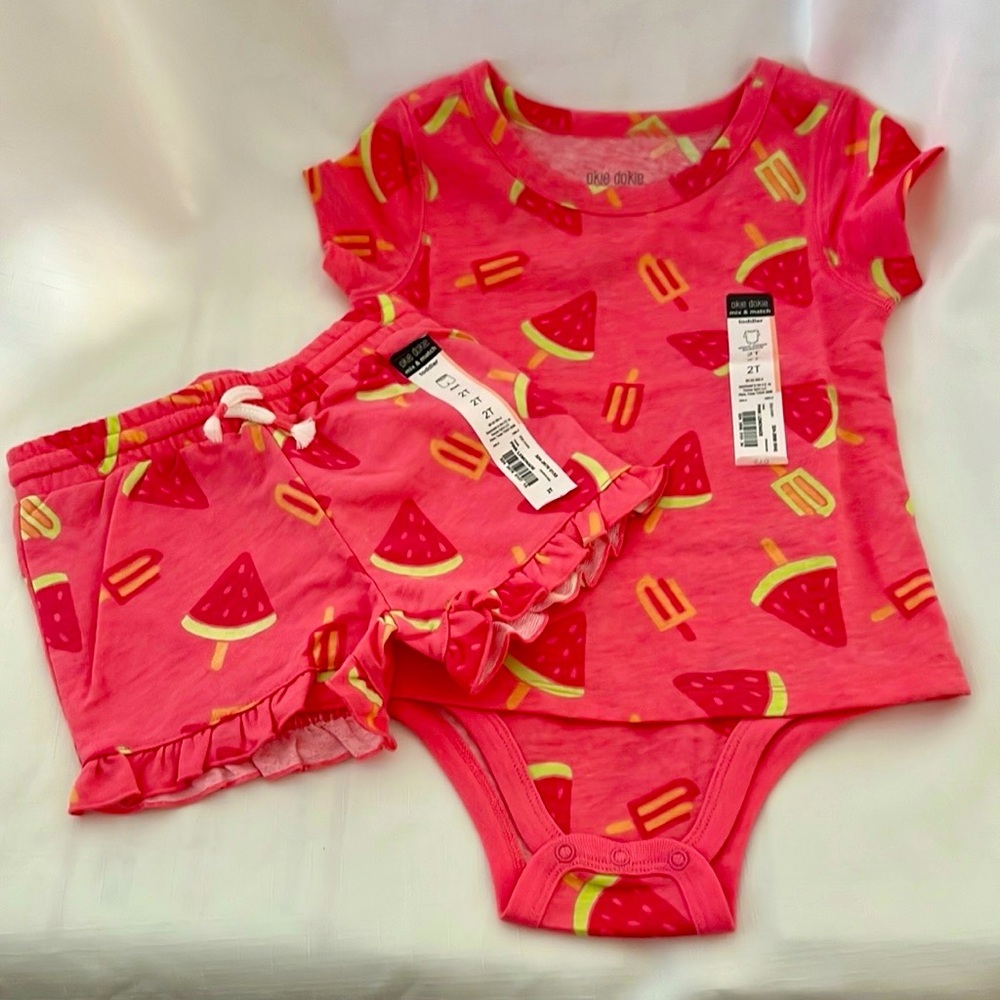 New / Toddler~Bodysuit With Matching Shorts